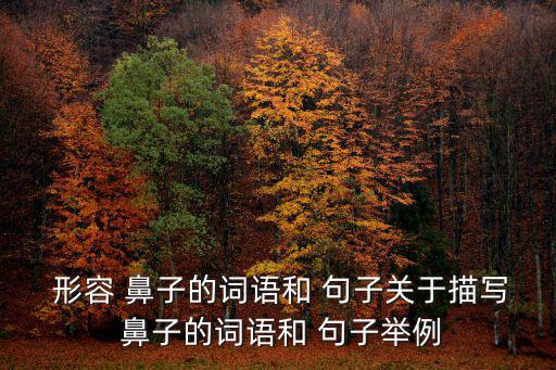  形容 鼻子的詞語和 句子關于描寫 鼻子的詞語和 句子舉例