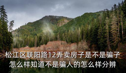 松江區聯陽路12弄賣房子是不是騙子怎么樣知道不是騙人的怎么樣分辨