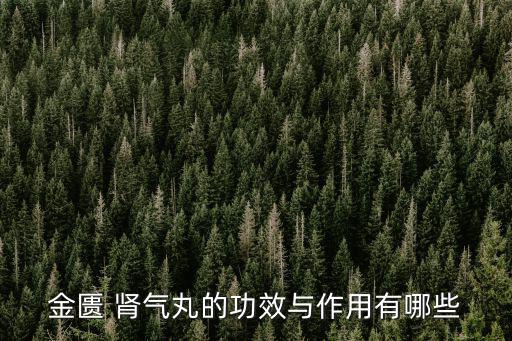 金匱 腎氣丸的功效與作用有哪些