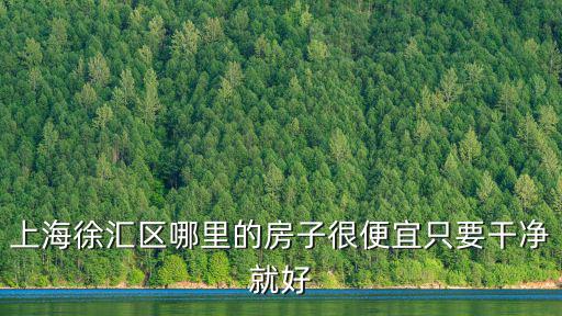 上海徐匯區哪里的房子很便宜只要干凈就好