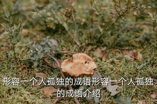 孤單一人,一文看懂:孤單一人