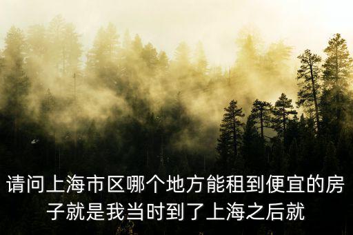 請(qǐng)問上海市區(qū)哪個(gè)地方能租到便宜的房子就是我當(dāng)時(shí)到了上海之后就