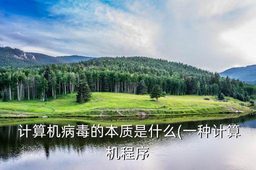  計算機病毒的本質是什么(一種計算機程序