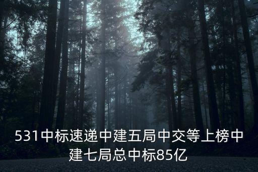 531中標速遞中建五局中交等上榜中建七局總中標85億