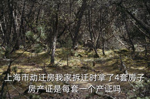 上海市動遷房我家拆遷時拿了4套房子房產證是每套一個產證嗎