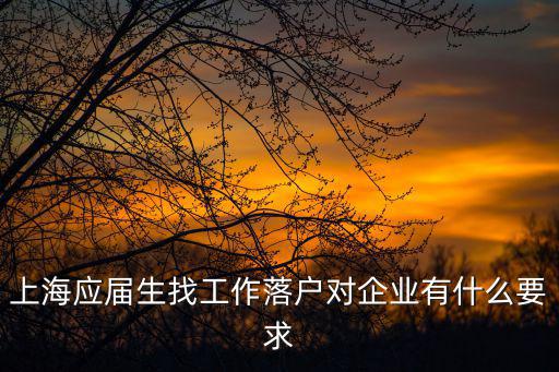 上海應屆生找工作落戶對企業有什么要求
