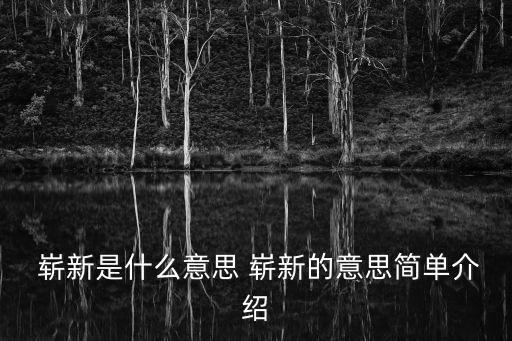 嶄新的近義詞,很新很新!