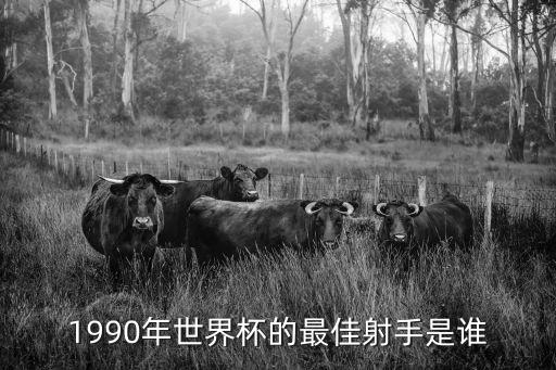 1990年世界杯的最佳射手是誰