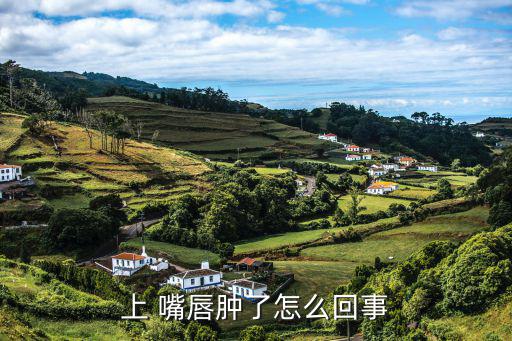 上 嘴唇腫了怎么回事