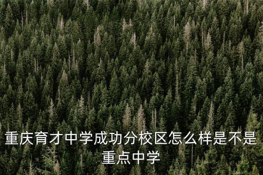 重慶育才中學成功分校區怎么樣是不是重點中學