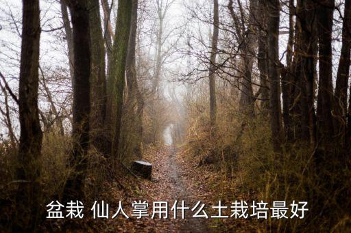  盆栽 仙人掌用什么土栽培最好