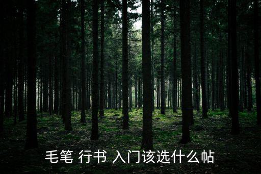 毛筆 行書 入門該選什么帖