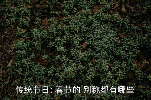 春節(jié)的別稱,春節(jié)活動豐富多彩體現(xiàn)中國傳統(tǒng)文化精髓