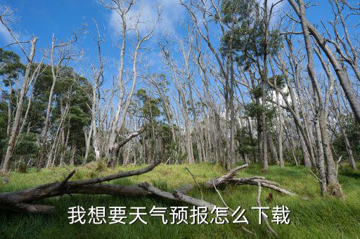 我想要天氣預報怎么下載