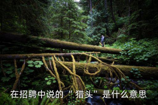 獵頭職位,udg獵頭集團是一家中國高端獵頭公司