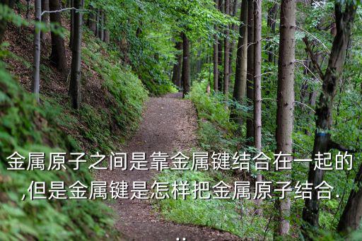 金屬原子之間是靠金屬鍵結合在一起的,但是金屬鍵是怎樣把金屬原子結合...