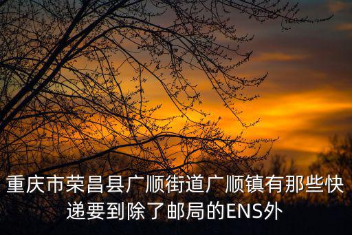 重慶市榮昌縣廣順街道廣順鎮(zhèn)有那些快遞要到除了郵局的ENS外