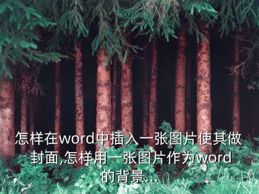 怎樣在word中插入一張圖片使其做 封面,怎樣用一張圖片作為word的背景...