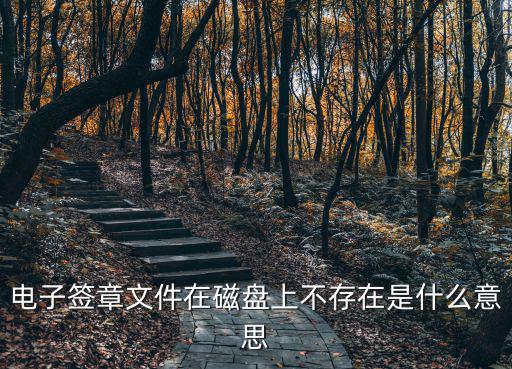 一窗通簽字文檔不存在，電子簽章文件在磁盤上不存在是什么意思