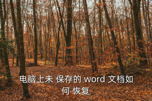 電腦上未 保存的 word 文檔如何 恢復