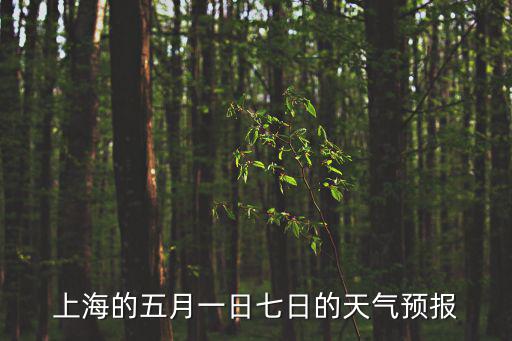 上海的五月一日七日的天氣預報
