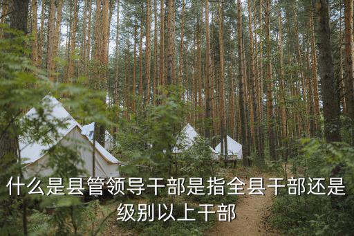 什么是縣管領導干部是指全縣干部還是級別以上干部