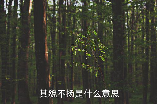 其貌不揚什么意思,其貌不揚也能出手相救