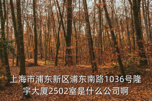上海市浦東新區浦東南路1036號隆宇大廈2502室是什么公司啊