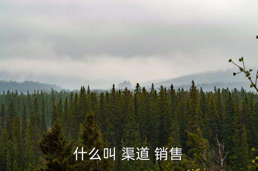 渠道銷售,渠道銷售是企業(yè)重要資產(chǎn)之一