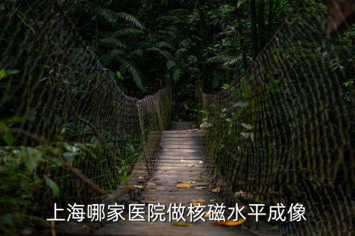 上海哪家醫院做核磁水平成像