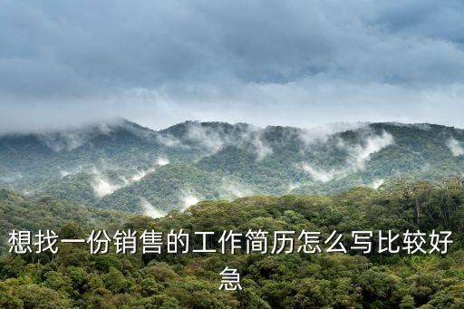 銷(xiāo)售簡(jiǎn)歷模板，一個(gè)很強(qiáng)的銷(xiāo)售人員簡(jiǎn)歷怎么寫(xiě)