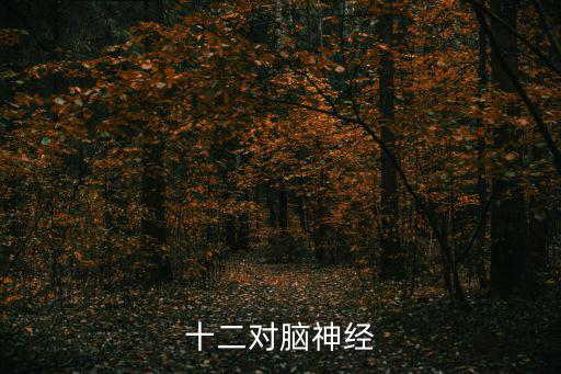 12對腦神經口訣，十二對腦神經的簡寫背誦口訣