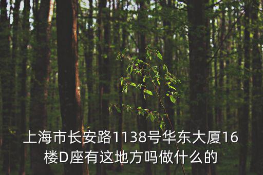上海市長安路1138號華東大廈16樓D座有這地方嗎做什么的
