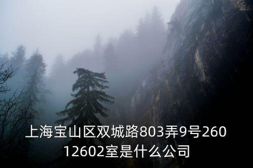 上海寶山區雙城路803弄9號26012602室是什么公司