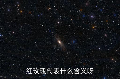 紅玫瑰代表什么含義呀