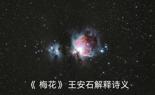 《 梅花》 王安石解釋詩(shī)義