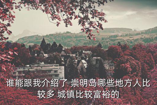 誰能跟我介紹了 崇明島哪些地方人比較多 城鎮比較富裕的