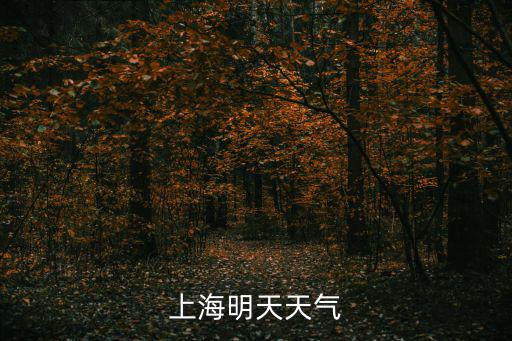上海明天天氣