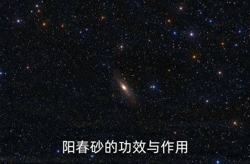 陽春砂的功效與作用