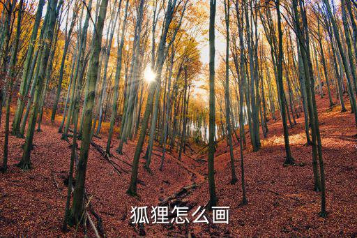  狐貍怎么畫