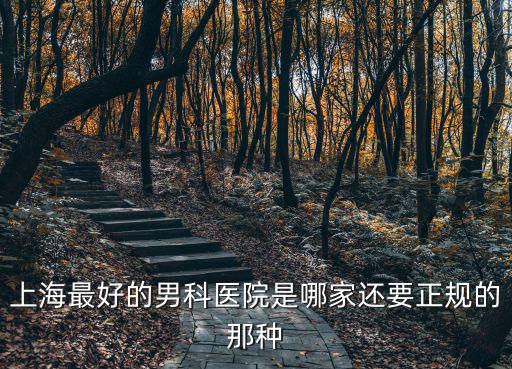 上海最好的男科醫院是哪家還要正規的那種