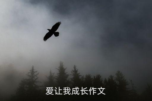 愛讓我成長作文