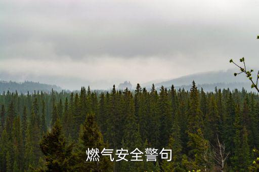 燃氣安全警句