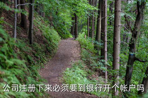 公司注冊下來必須要到銀行開個帳戶嗎