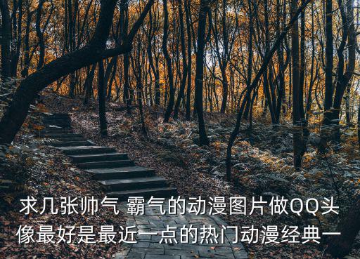 求幾張帥氣 霸氣的動(dòng)漫圖片做QQ頭像最好是最近一點(diǎn)的熱門動(dòng)漫經(jīng)典一