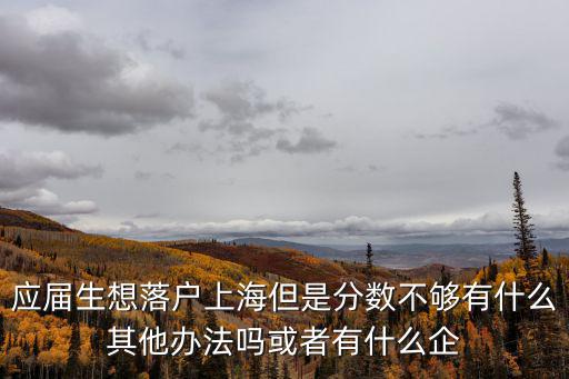 上海 應屆生 落戶，應屆生想落戶上海但是分數不夠有什么其他辦法嗎或者有什么企