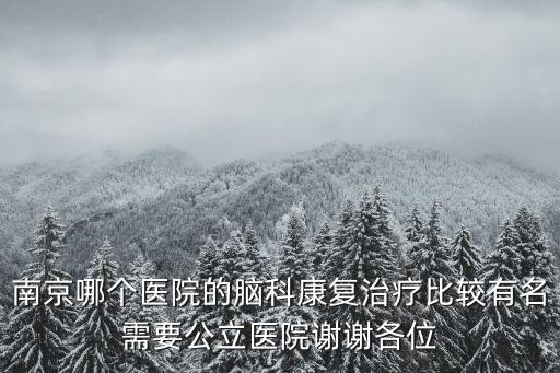 南京哪個醫院的腦科康復治療比較有名需要公立醫院謝謝各位