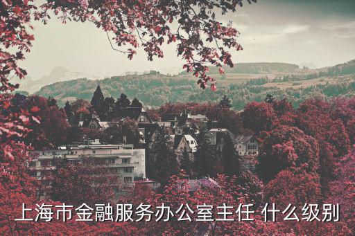 上海市金融服務辦公室主任 什么級別
