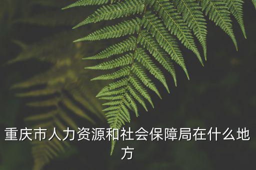 重慶市人力資源和社會保障局在什么地方