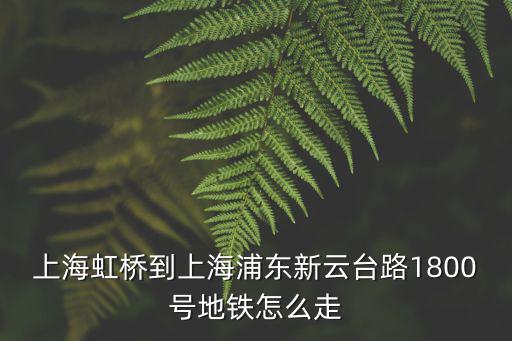 上海市云臺路1800號怎么走，云臺路1800號公交車怎么坐車